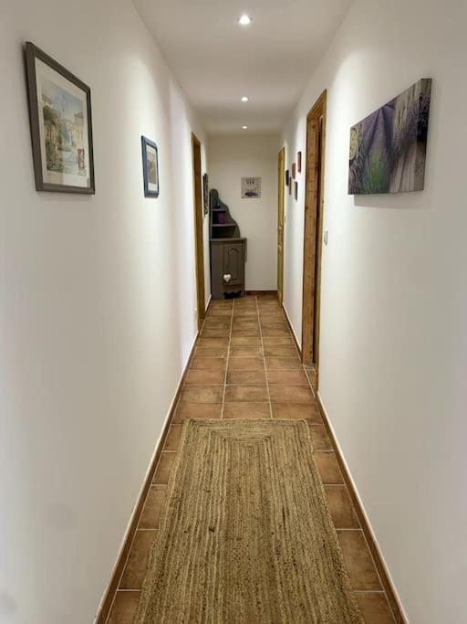 Appartement Bas De Maison Lavilledieu  ภายนอก รูปภาพ